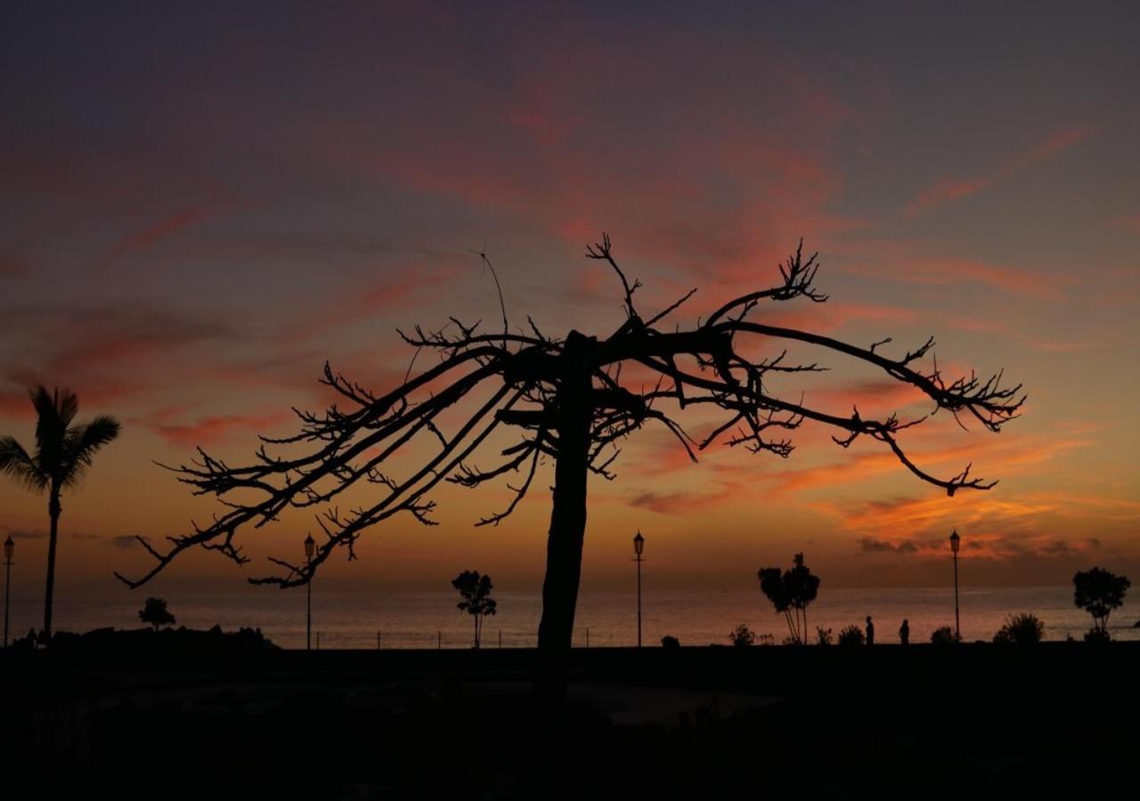 Apartamento Sol Y Mar Tazacorte Luaran gambar